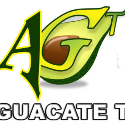 Aguacate TV en directo - teleonline.org
