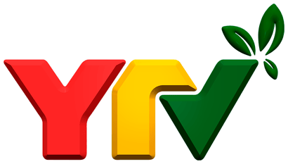 YungasTV.bo en directo